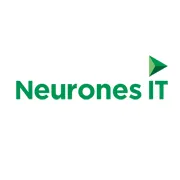 Neurones IT